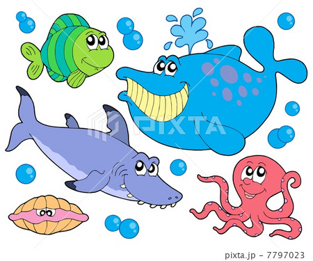 Fish collection Fish collection 7797023