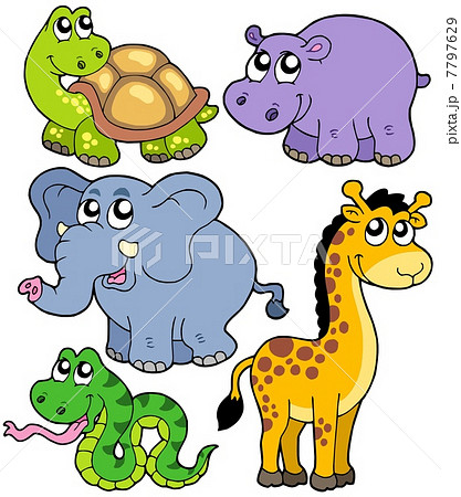 African animals collection 4 7797629