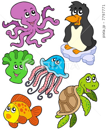 Aquatic animals collection 2 7797771