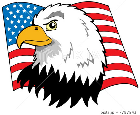 American eagles head with flag 7797843