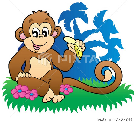 Monkey eating banana near palms 7797844