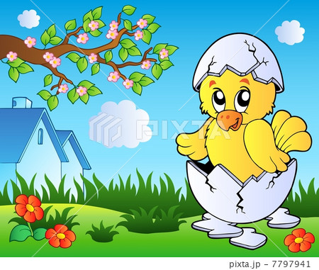 Meadow with cute chicken in egg 7797941