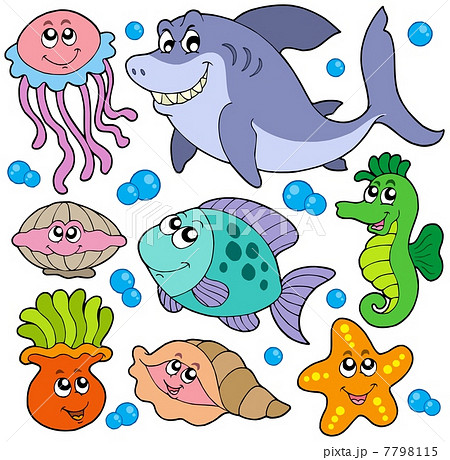 Aquatic animals collection 7798115