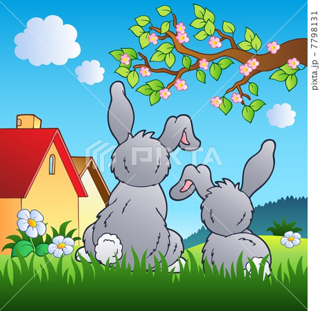 Meadow with two rabbits 7798131