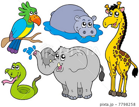 Wildlife animals collection 7798258