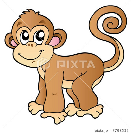 Cute small monkey 7798532