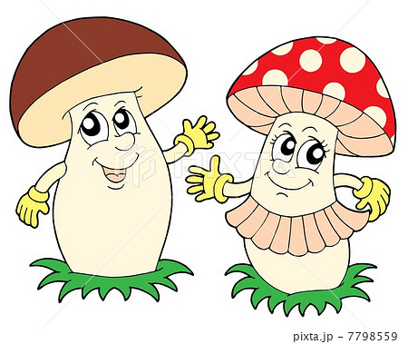Mushroom and toadstool vector illustration 7798559
