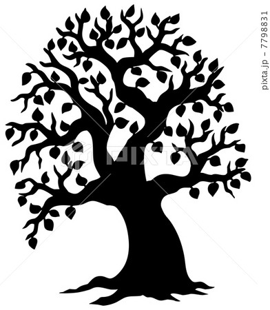Big leafy tree silhouette 7798831