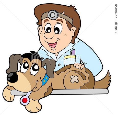 Dog at veterinarian 7798850