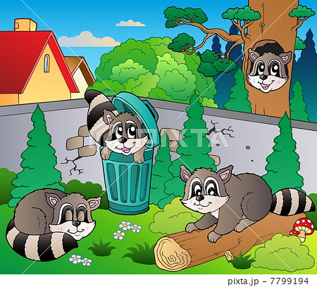 Backyard with cute racoons Backyard with cute racoons 7799194
