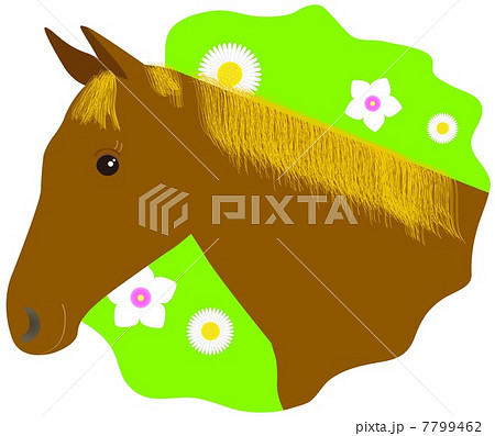 馬の顔のイラスト素材 7799462 Pixta