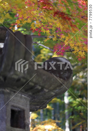 能仁寺の紅葉 能仁寺の紅葉 7799530