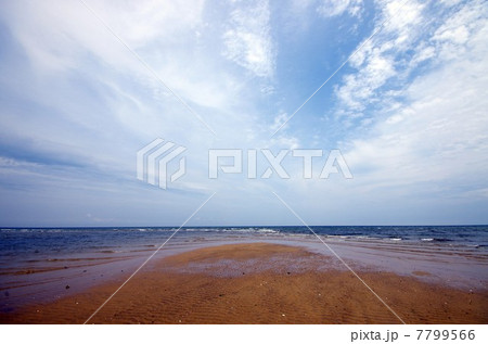 海岸 7799566