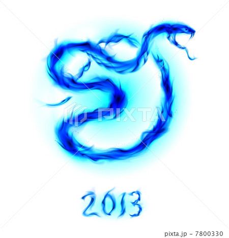 Card with snake 7800330