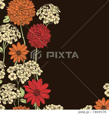 Floral background Floral background 7800576