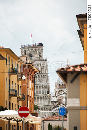 Pisa street and Leaning Tower 7800585