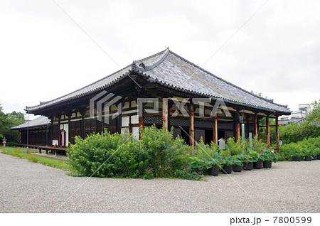 元興寺・極楽坊本堂 元興寺・極楽坊本堂 7800599