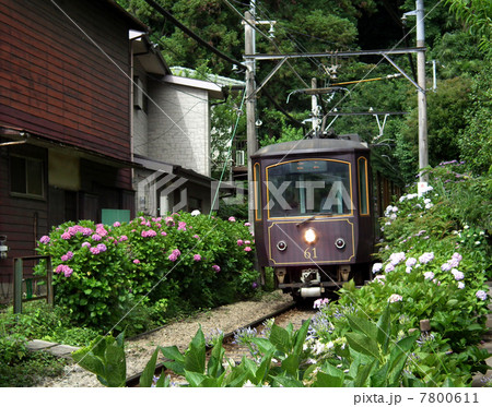 江ノ電 長谷駅付近 江ノ電 長谷駅付近 7800611