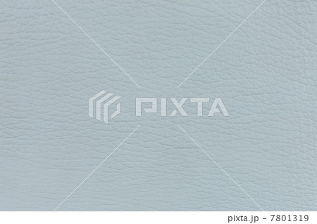 鮫革 鮫革 7801319