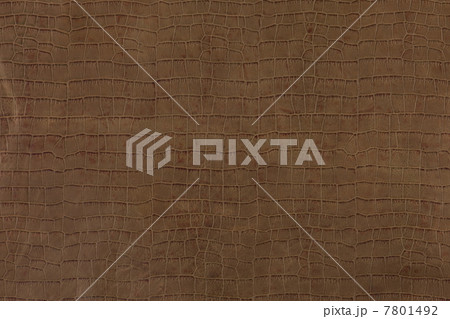 ワニ皮 ワニ皮 7801492