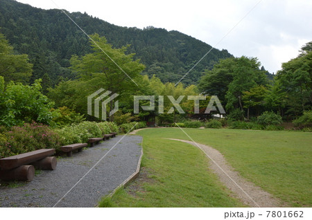 東京の田舎　八王子市 7801662