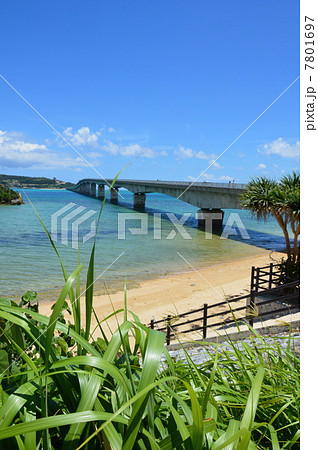 屋我地島から眺めた「古宇利大橋」(屋我地島/沖縄県名護市) 屋我地島から眺めた「古宇利大橋」(屋我地島/沖縄県名護市) 7801697