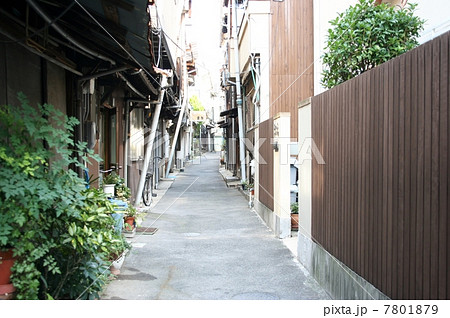 尾道の路地 7801879