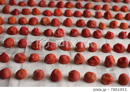 梅干し　横 7801953