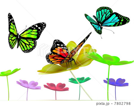 Butterfly and flowers on white 7802798