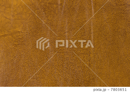 羊革 羊革 7803651