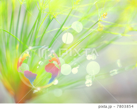 地球エコイメージ 若草の輝きと地球 地球エコイメージ 若草の輝きと地球 7803854