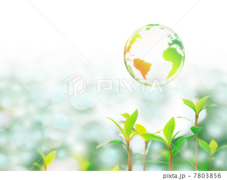 地球エコイメージ　若葉と地球 7803856