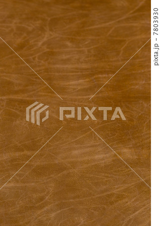 馬革 馬革 7803930