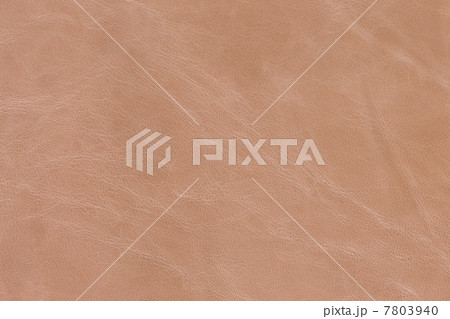 馬革 馬革 7803940