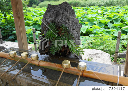 手水舎・お清め04 7804117