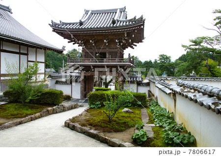 常栄寺　鐘楼門 7806617