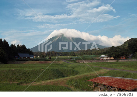 夏の大山 7806903