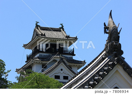 真夏の高知城　天守閣と追手門 7806934