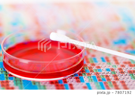 cotton swab 7807192