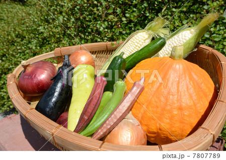 長野の採れたて夏野菜02 7807789