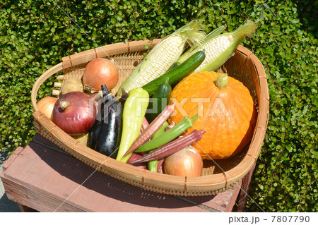 長野の採れたて夏野菜01 7807790