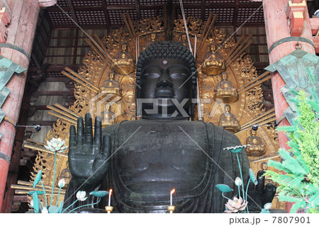 奈良の大仏 7807901