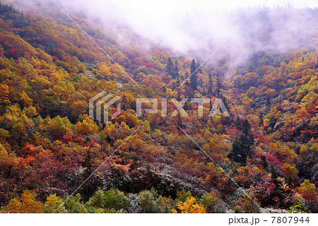 立山弥陀ヶ原の展望 7807944