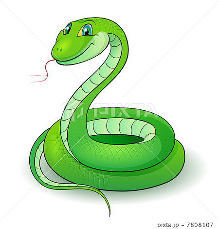 Green snake 7808107