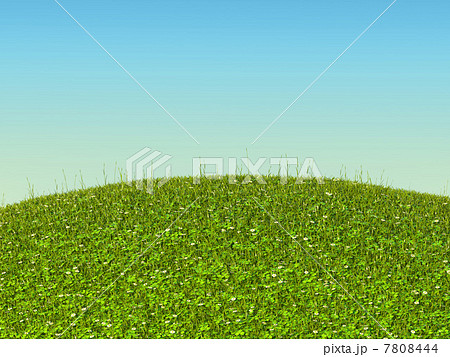 Green grass landscape with clover and camomile flowers 7808444