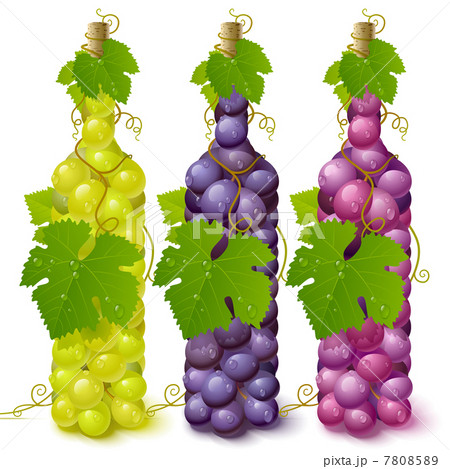 Vine grape bottles Vine grape bottles 7808589