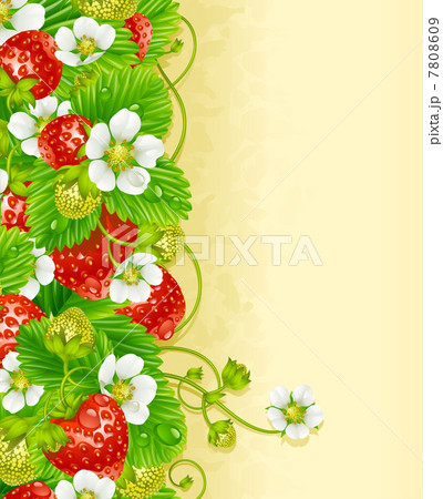 Vector strawberry frame Vector strawberry frame 7808609