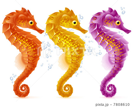 Vector sea horse 7808610