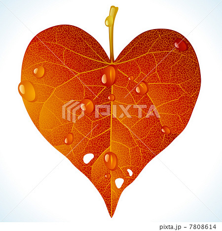 Autumnal love Autumnal love 7808614