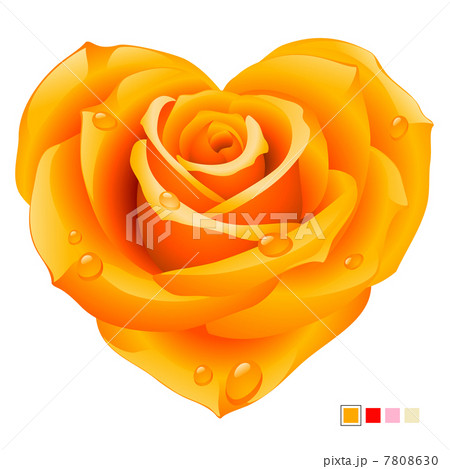 Orange rose in the shape of heart Orange rose in the shape of heart 7808630